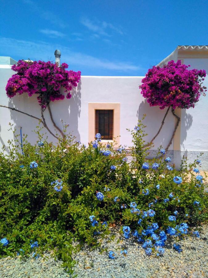 Can Pep Pardal Sant Miquel de Balansat Exterior foto