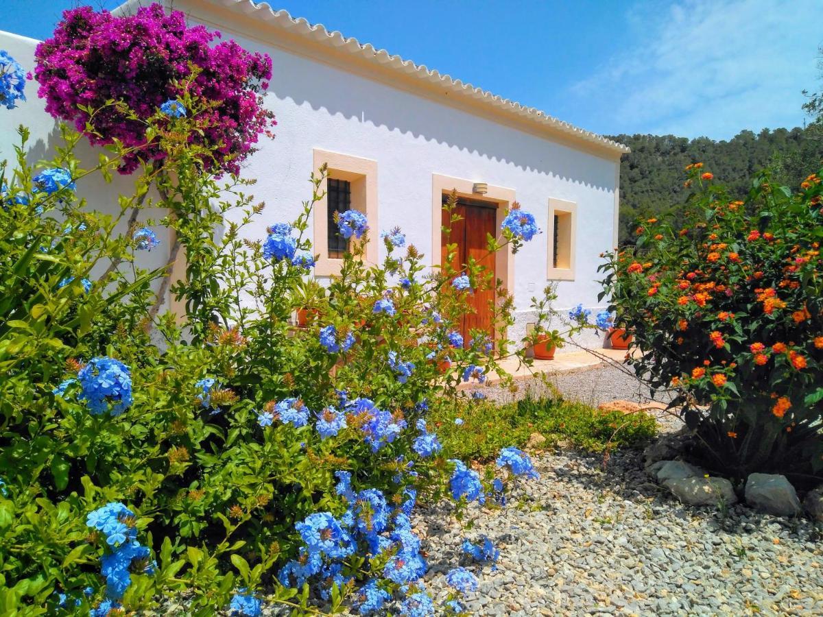 Can Pep Pardal Sant Miquel de Balansat Exterior foto