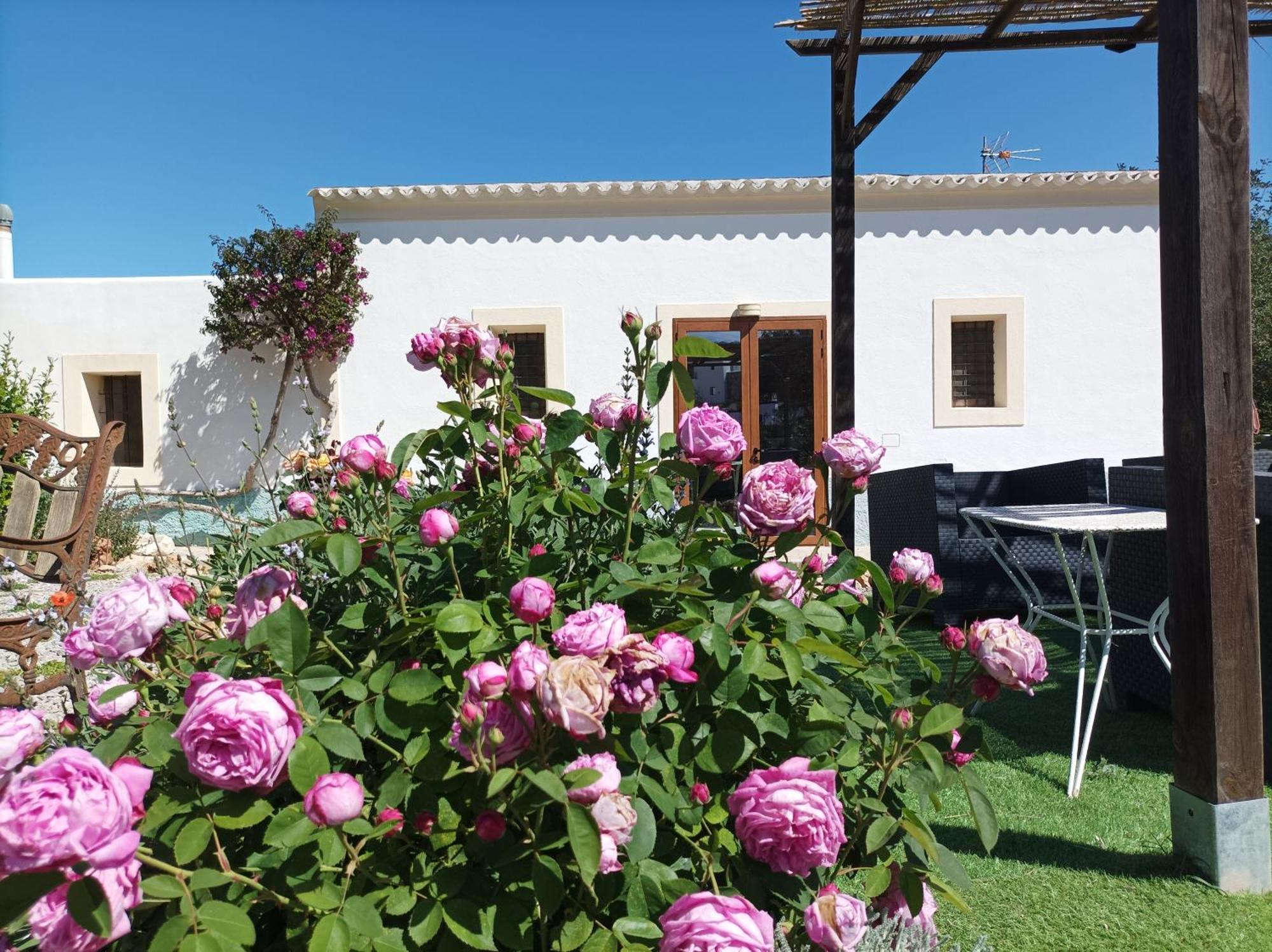 Can Pep Pardal Sant Miquel de Balansat Exterior foto